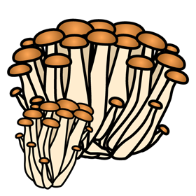 しめじのイラスト