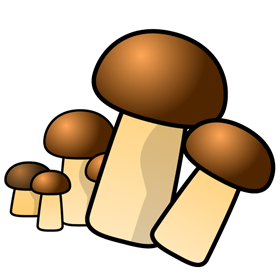 きのこがいっぱいのイラスト