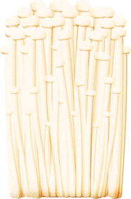 えのきイラスト