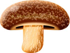 椎茸イラスト