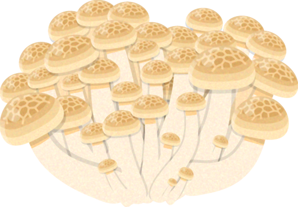 しめじイラスト