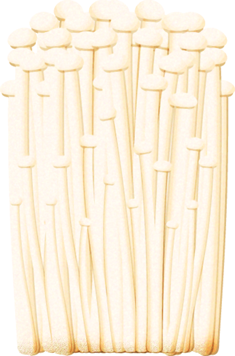 えのきイラスト