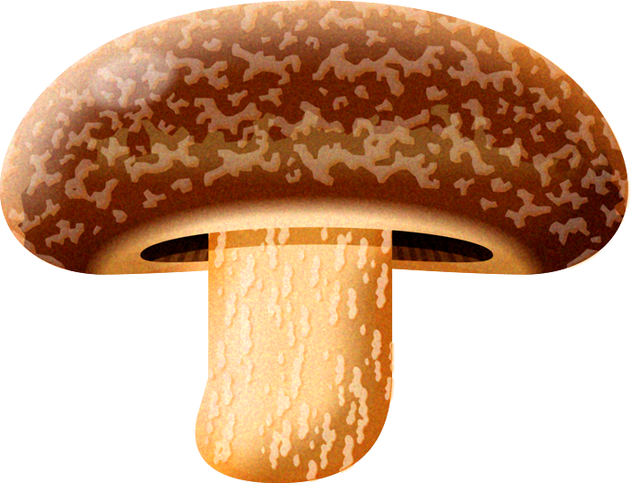 椎茸イラスト