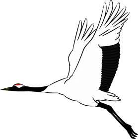 飛んでいる鶴のイラスト