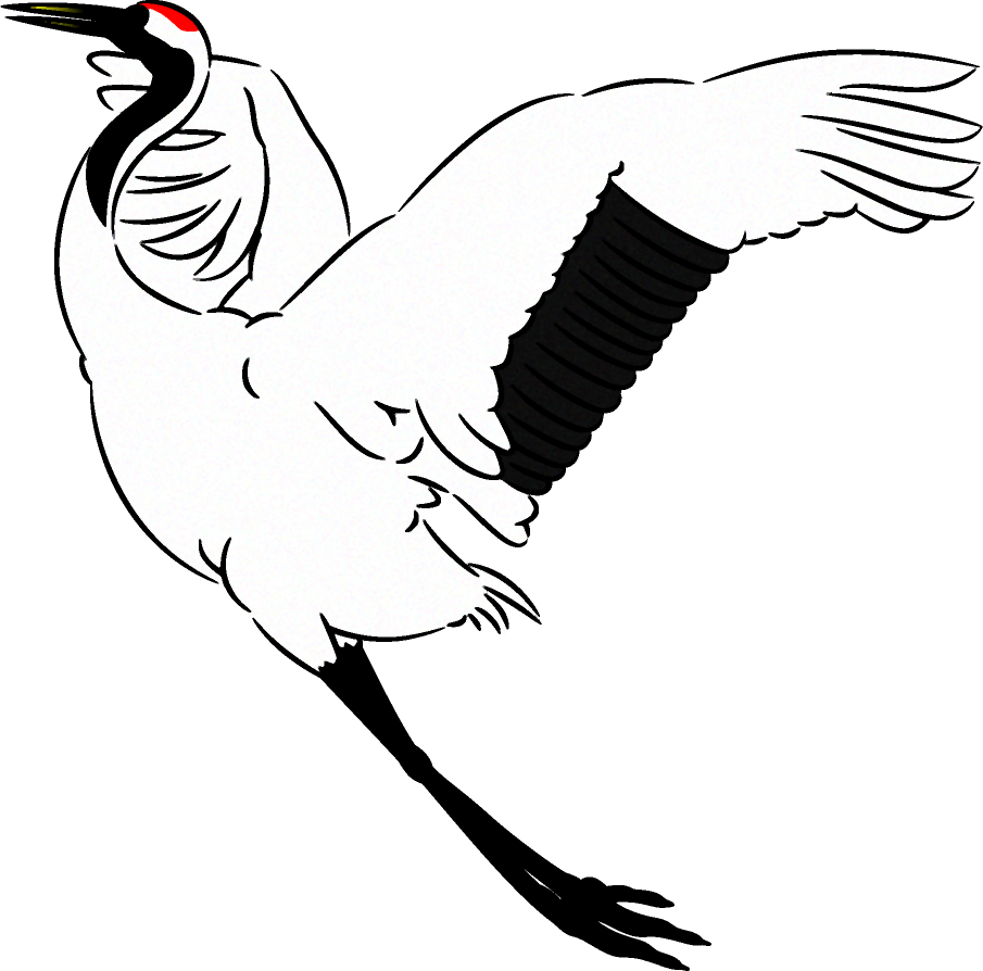 飛び上がる鶴のイラスト