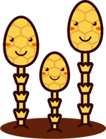 かわいいつくしイラスト