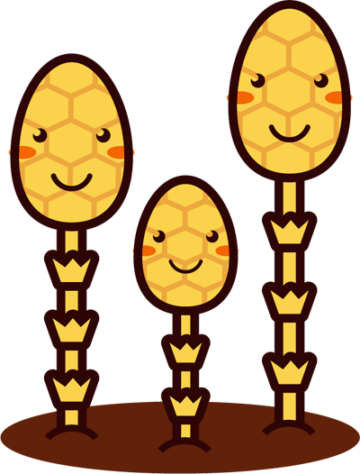 かわいいつくしイラスト/モノクロ