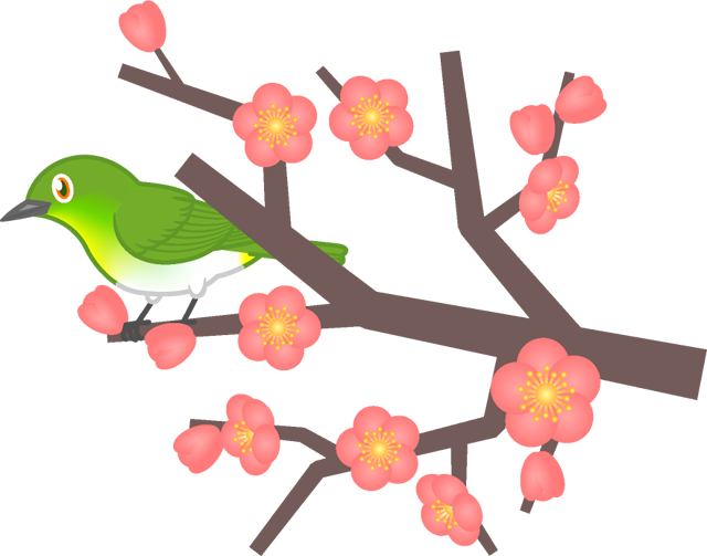 梅の木にとまるメジロのイラスト
