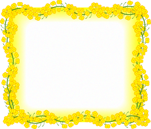 菜の花フレームのイラスト