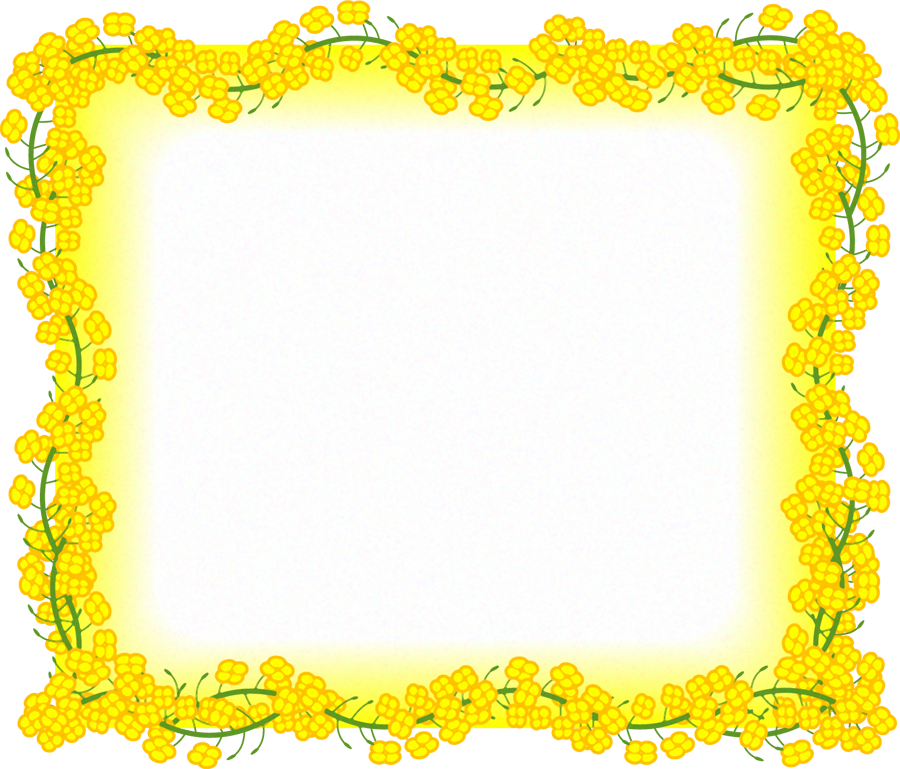 菜の花フレームのイラスト