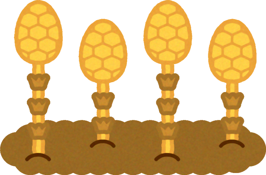 春、筑紫がでてきたイラスト