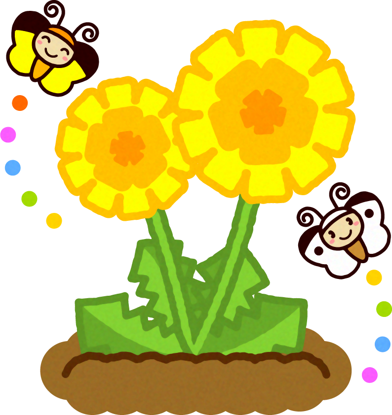 タンポポの周りを飛ぶチョウチョのイラスト