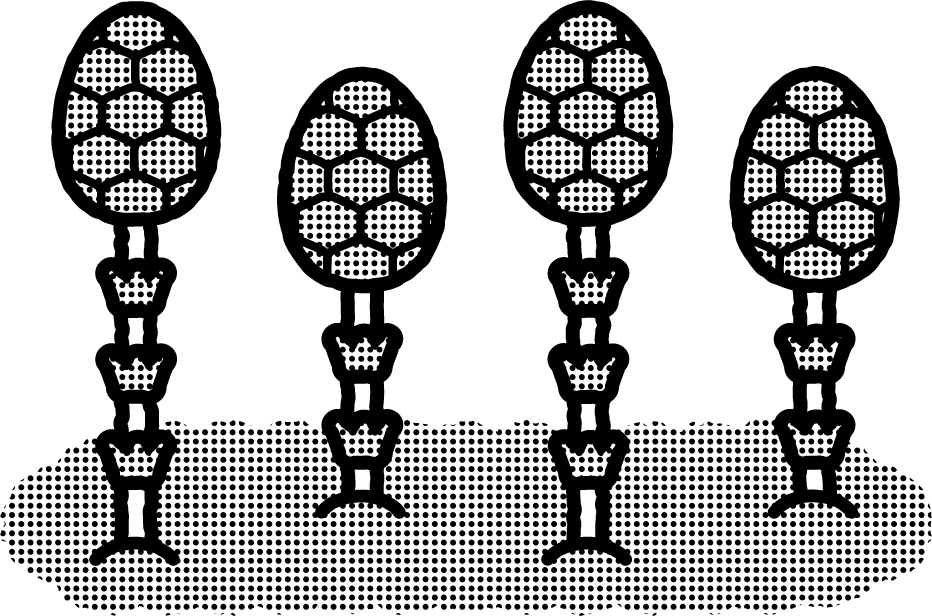 春、筑紫がでてきたイラスト/モノクロ