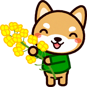 菜の花を持つ柴犬のイラスト