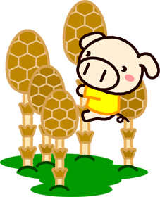 筑紫を登るブタのイラスト