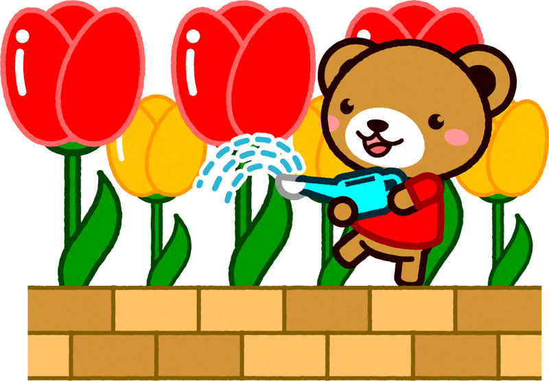 チューリップに水をやるクマのイラスト