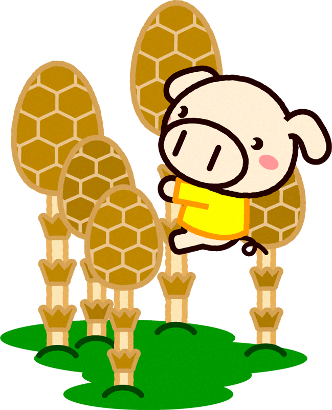 筑紫を登るブタのイラスト