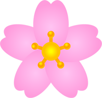 桜の花イラスト/花びらが丸い・グラデーション