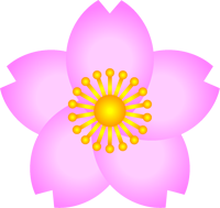 桜の花イラスト/高級感