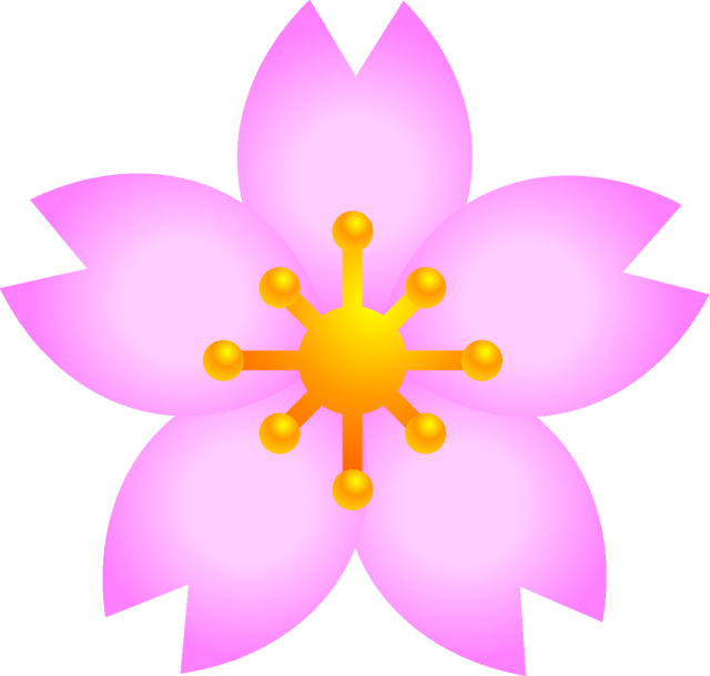 桜の花イラスト/花びらが濃い