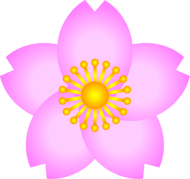 桜の花イラスト/高級感