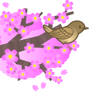桜の枝にとまったウグイスのイラスト