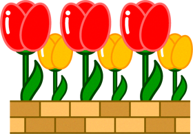 花壇に植えられたチューリップのイラスト
