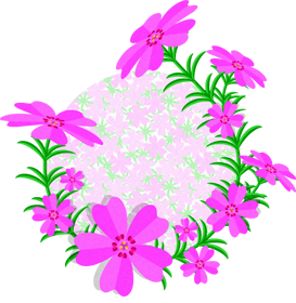 芝桜のイラスト