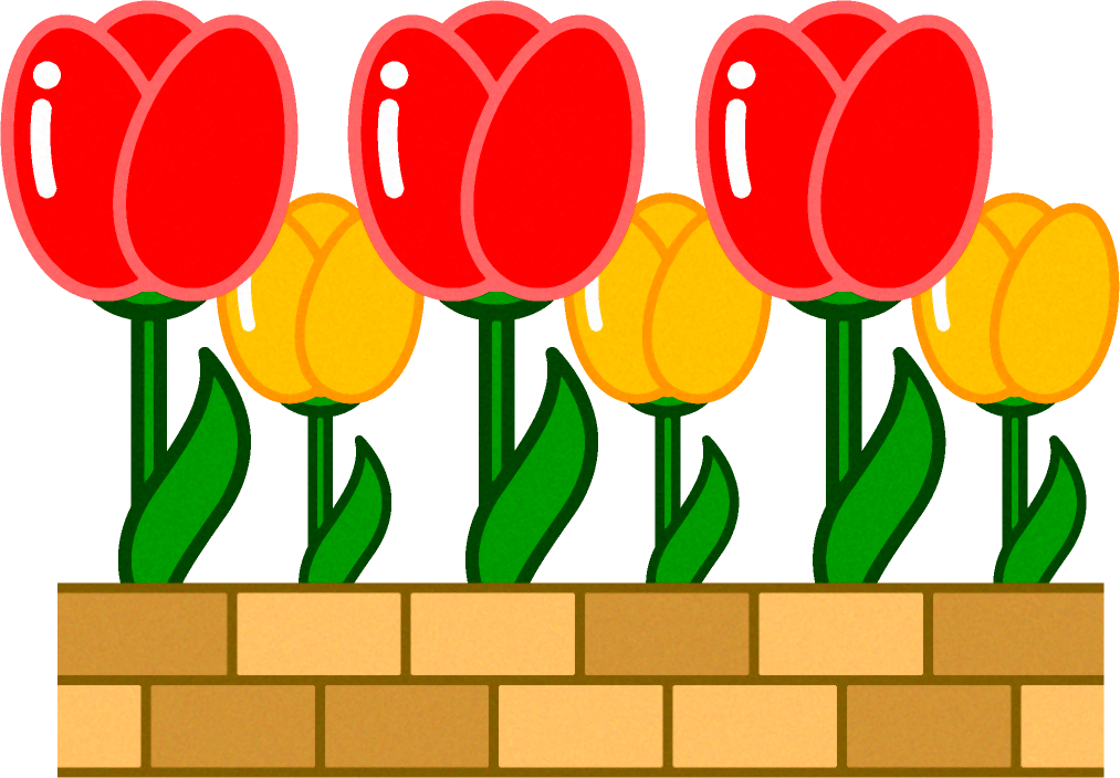 花壇に植えられたチューリップのイラスト