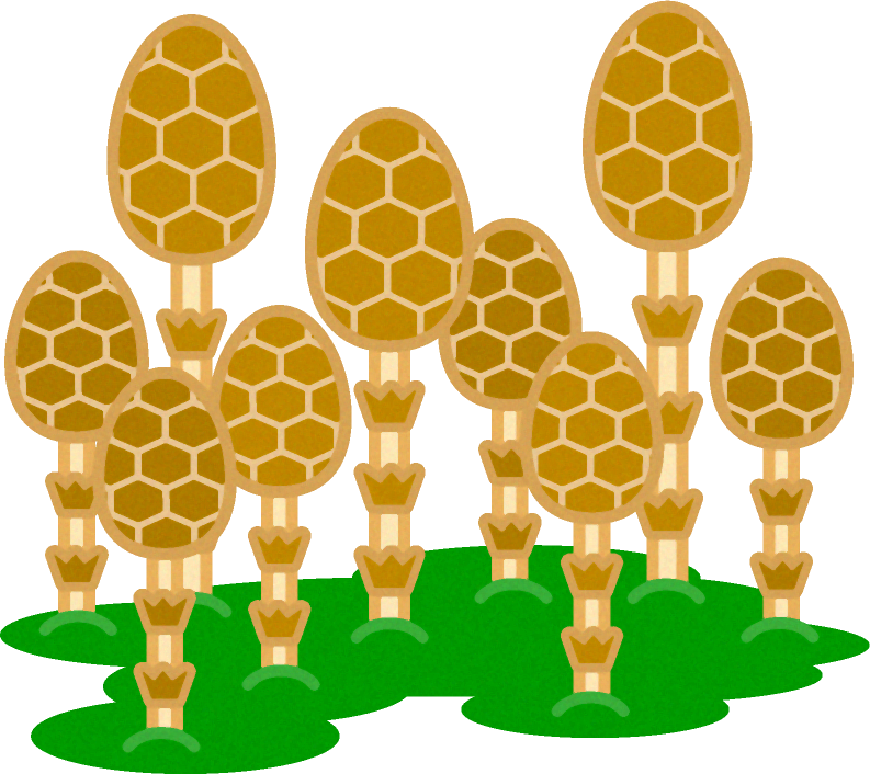 筑紫の群生イラスト