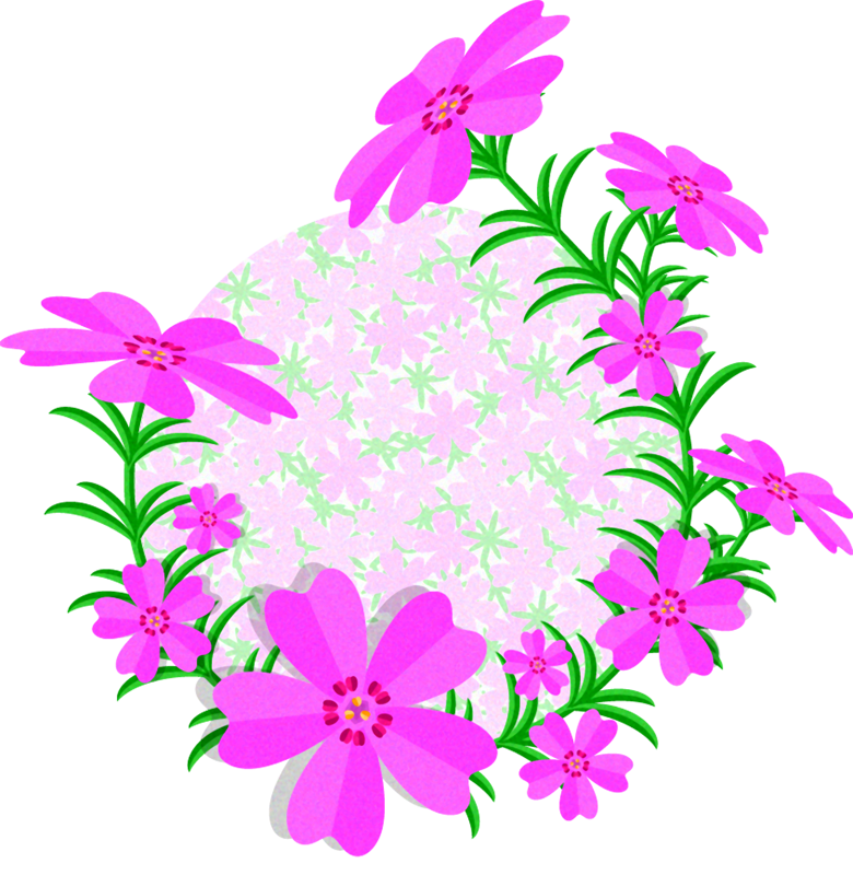 芝桜のイラスト