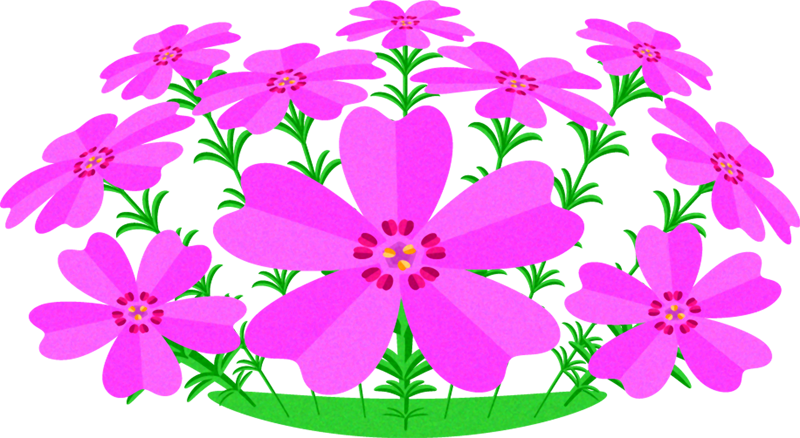 芝桜のイラスト2