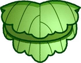 ヨモギの柏餅イラスト