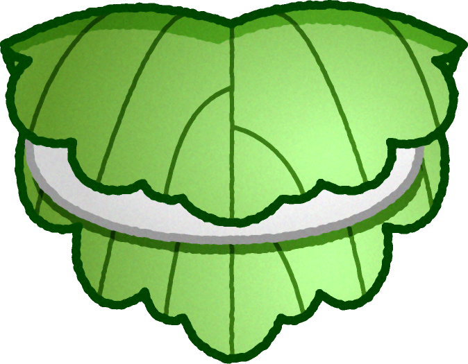 柏餅イラスト