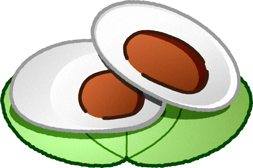 2つに切った切った柏餅イラスト