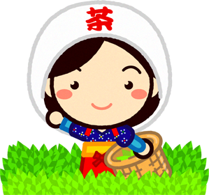 茶畑で茶摘みする女の子が手を振っているイラスト