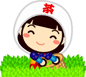 茶畑でお茶の新芽を摘む笑顔の女の子イラスト