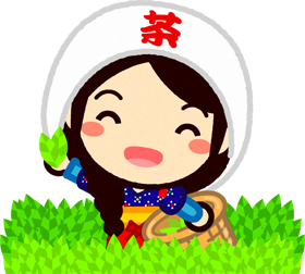 茶畑でお茶の新芽を摘む笑顔の女の子イラスト