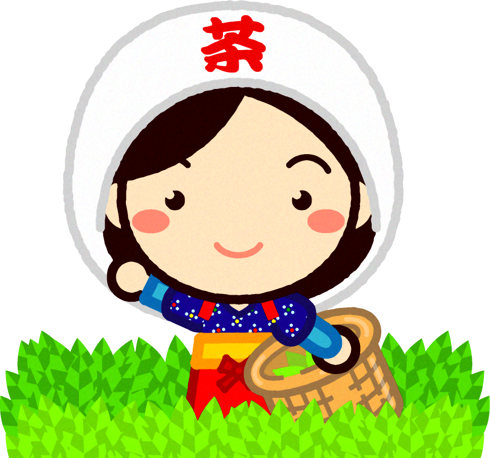茶畑で茶摘みする女の子が手を振っているイラスト
