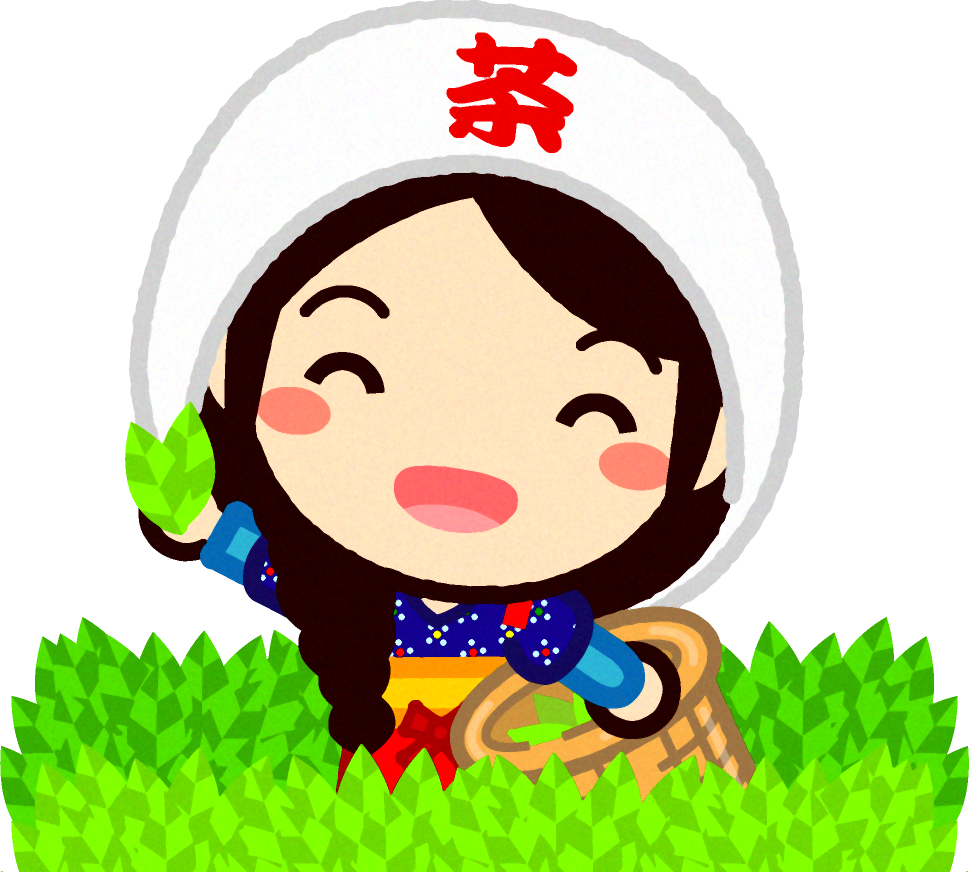 茶畑でお茶の新芽を摘む笑顔の女の子イラスト