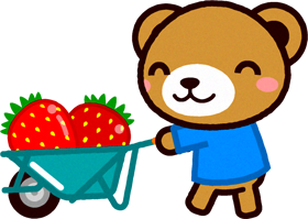 苺を運ぶクマのイラスト