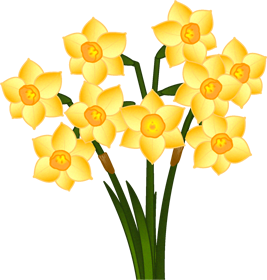 マーガレットの花イラスト/上