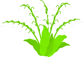 鈴蘭の花イラスト2