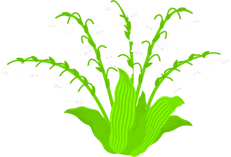 鈴蘭の花イラスト2