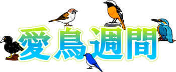 愛鳥週間の文字イラスト/野鳥