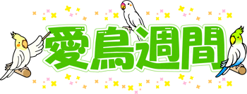 愛鳥週間の文字イラスト/インコ