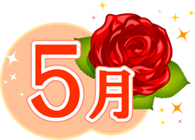 5月の文字と薔薇のイラスト