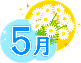 5月の文字とマーガレットのイラスト2