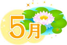 5月の文字と睡蓮のイラスト2