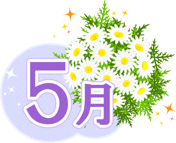 5月の文字とマーガレットのイラスト